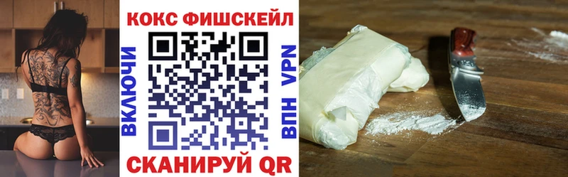 как найти наркотики  Александровск-Сахалинский  Cocaine Fish Scale 