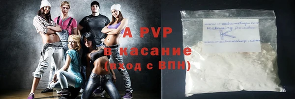 ПСИЛОЦИБИНОВЫЕ ГРИБЫ Абаза