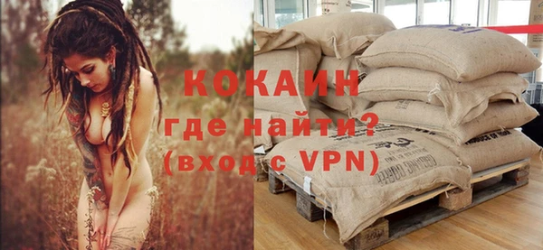 ПСИЛОЦИБИНОВЫЕ ГРИБЫ Абаза