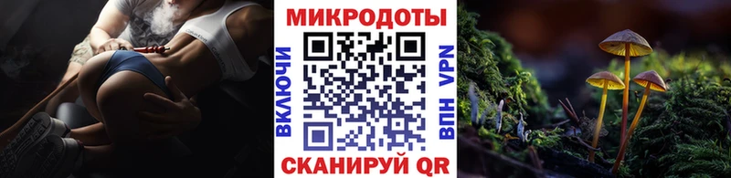 Псилоцибиновые грибы Psilocybine cubensis  купить наркоту  мега ONION  Александровск-Сахалинский 